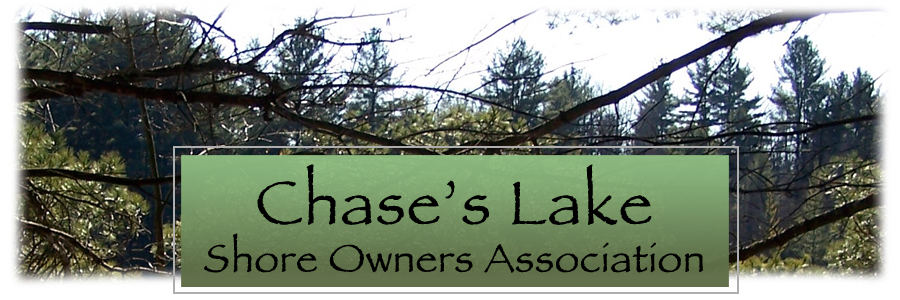 Chase's Lake Shore Owners Association