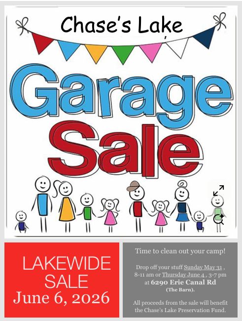 Chases Lake Garage Sale